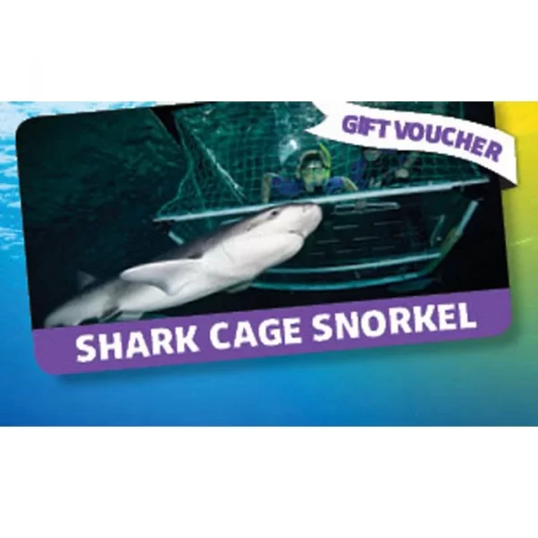 Kelly Tarlton's Gift Cards - Image 2